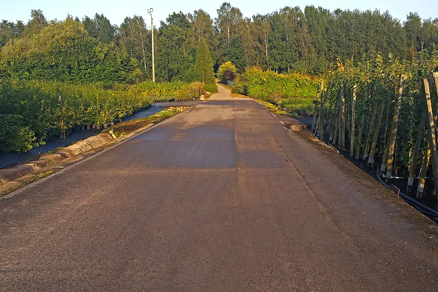 ساحة المبيعات